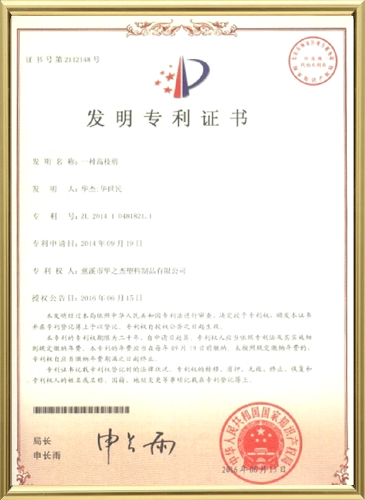 Patent Certificate