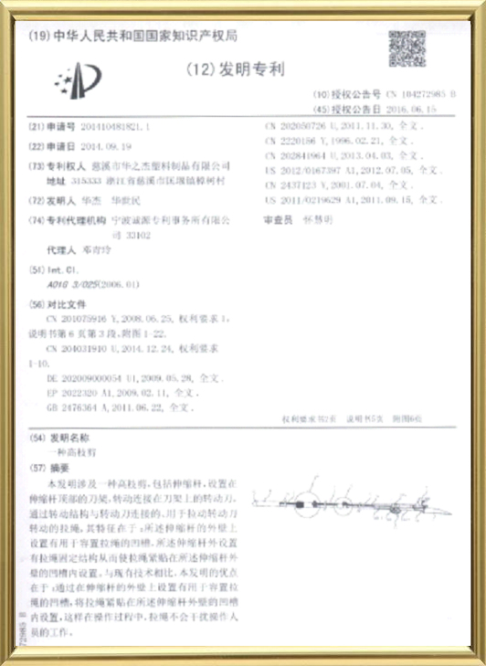 Patent Certificate